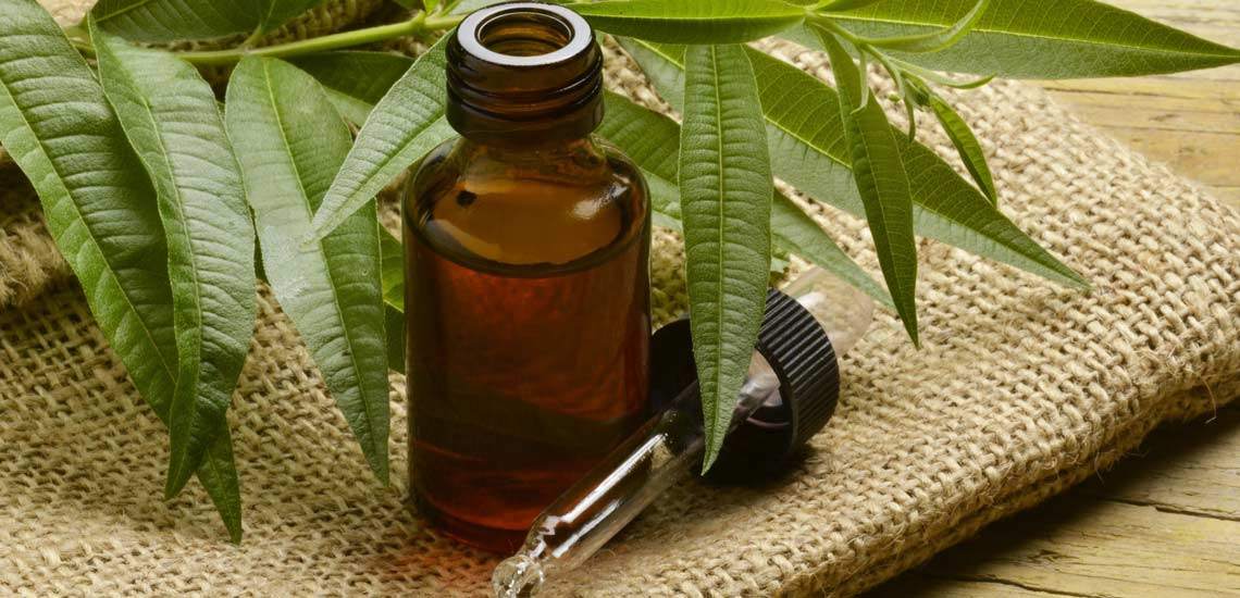 تمام فواید روغن درخت چای؛ از ضد آکنه بودن تا رفع خال گوشتی تمام فواید روغن درخت چای؛ از ضد آکنه بودن تا رفع خال گوشتی