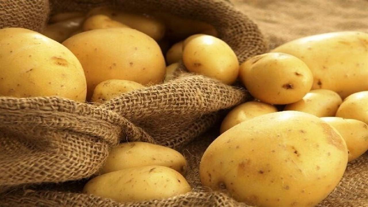 برای رفع استخوان درد کدام ماده غذایی را مصرف کنیم؟