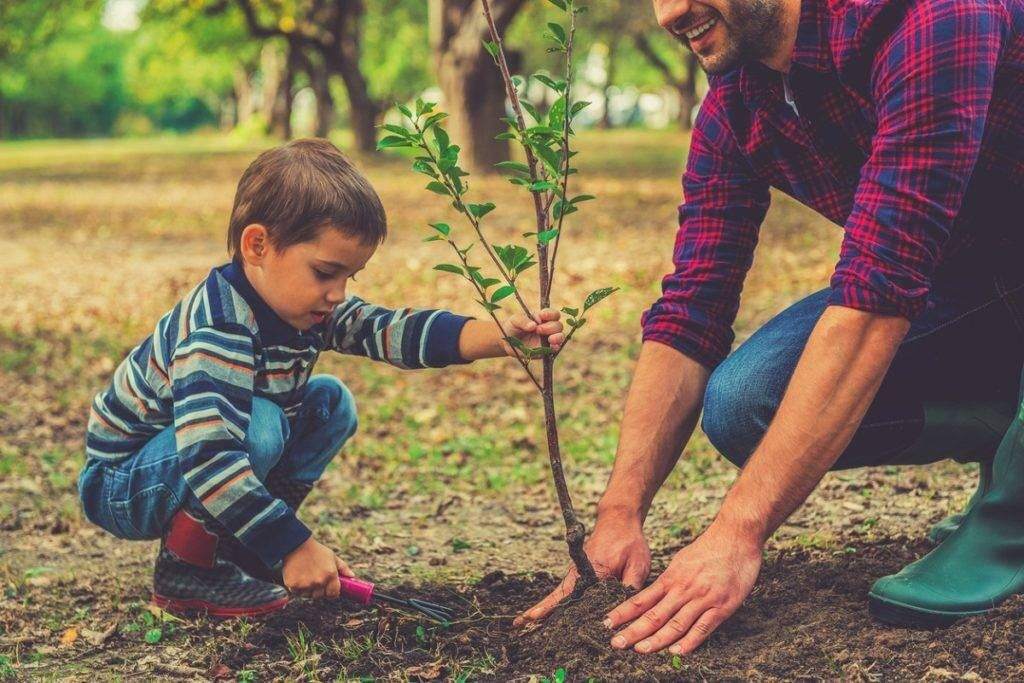 روش‌های آموزشی برای دوستی کودکان با طبیعت