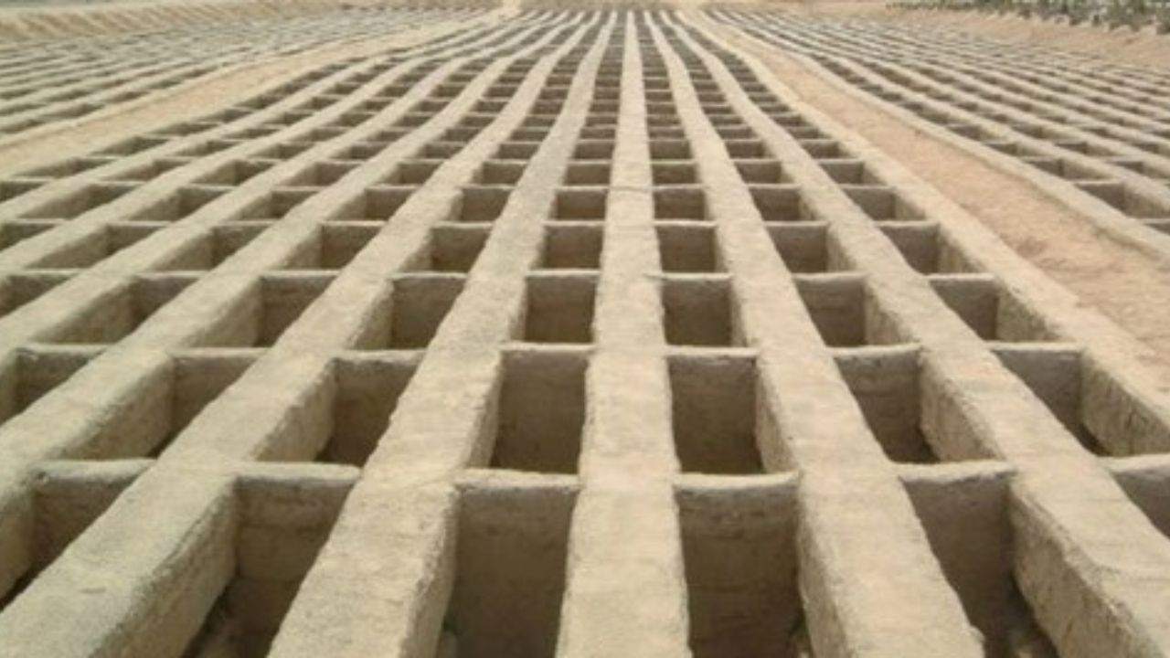 برای همه تهرانیها قبر دستهجمعی تدارک دیدهایم برای همه تهرانیها قبر دستهجمعی تدارک دیدهایم