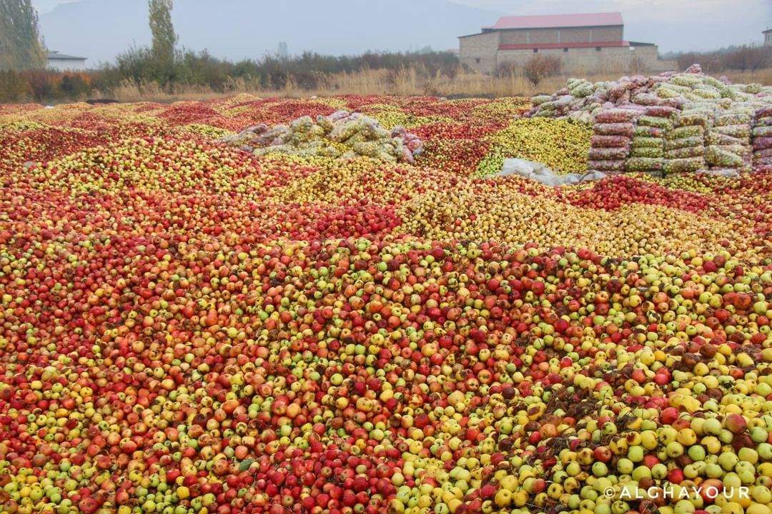 تصاویر| اینجا هلند نیست، ارومیه است!