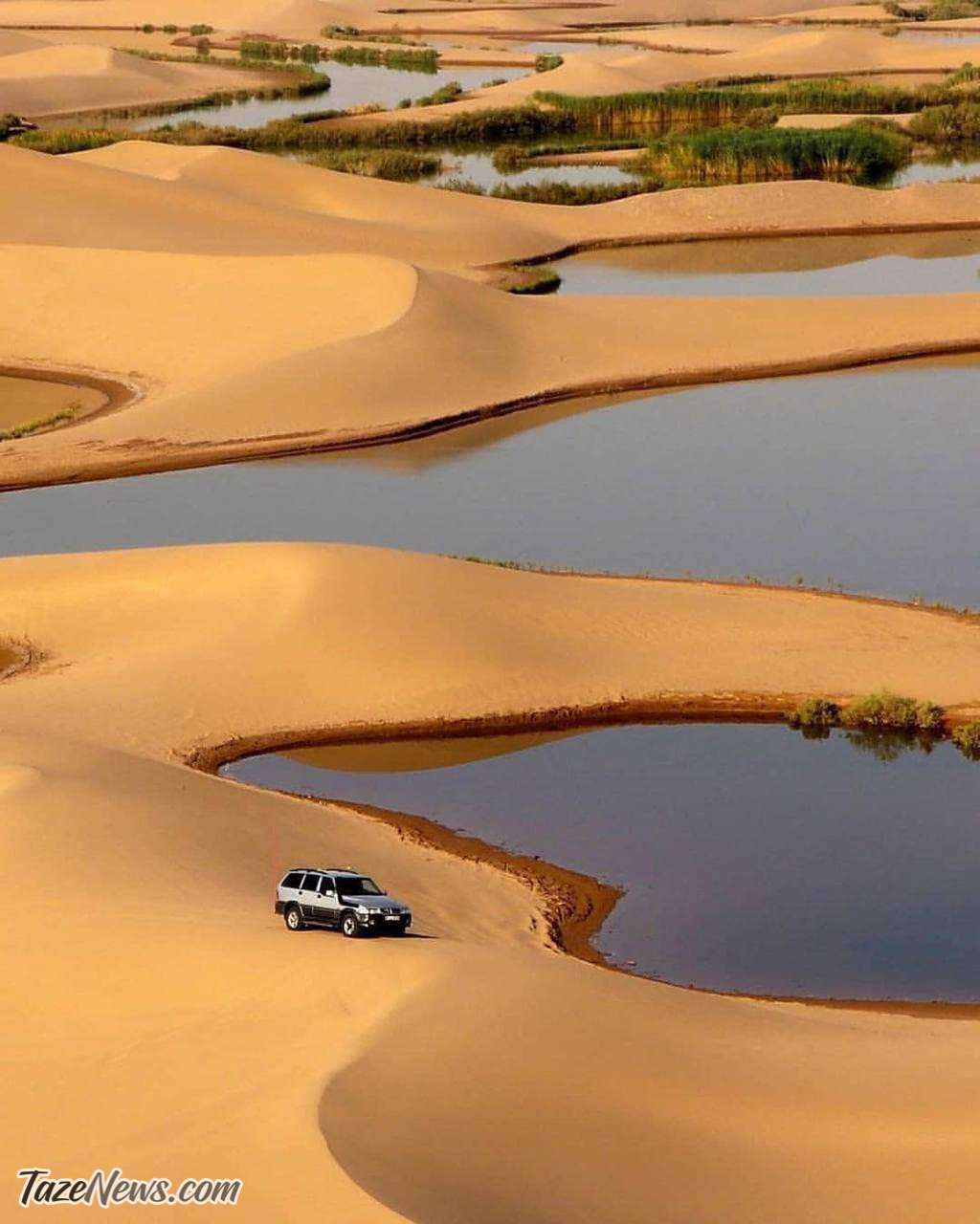 عکس دیدنی از دریاچه‌ای در دل کویر یزد!