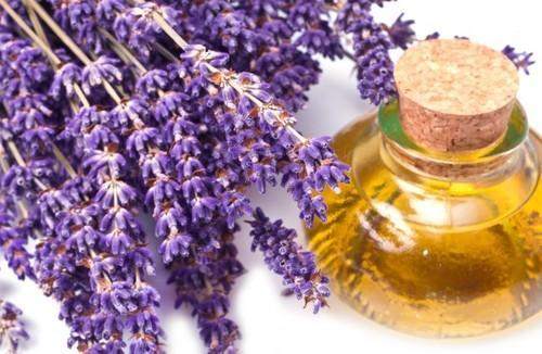 روشهای گیاهی برای مبارزه با اختلال خواب روشهای گیاهی برای مبارزه با اختلال خواب