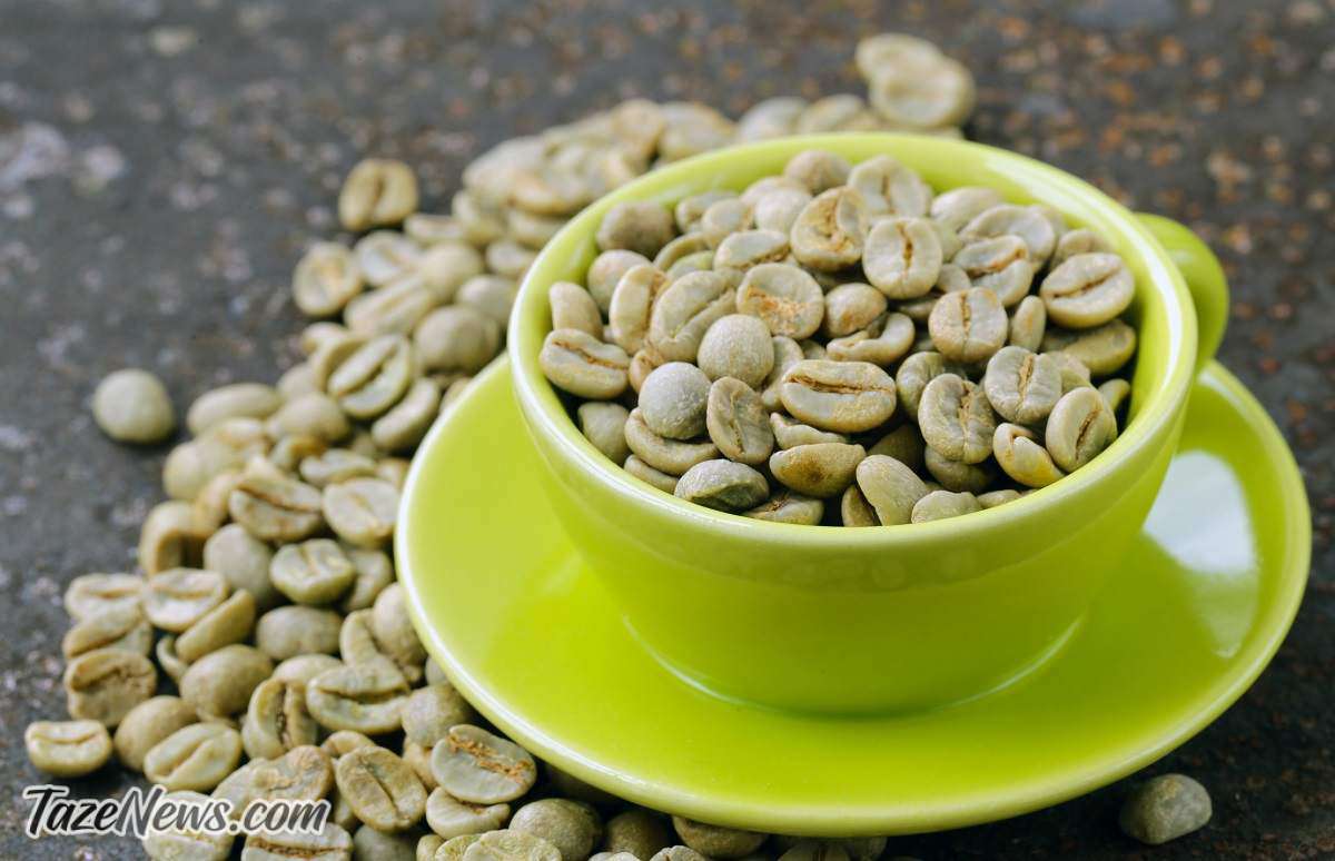 قهوه سبز چیست و چه فوایدی برای بدن دارد؟