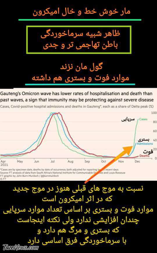 عکس| مراقب مار خوش خط و خال اومیکرون باشید!