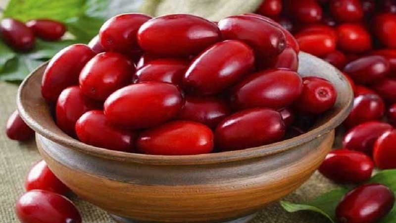 مواد غذایی مفید برای کلیهها را بشناسید مواد غذایی مفید برای کلیهها را بشناسید
