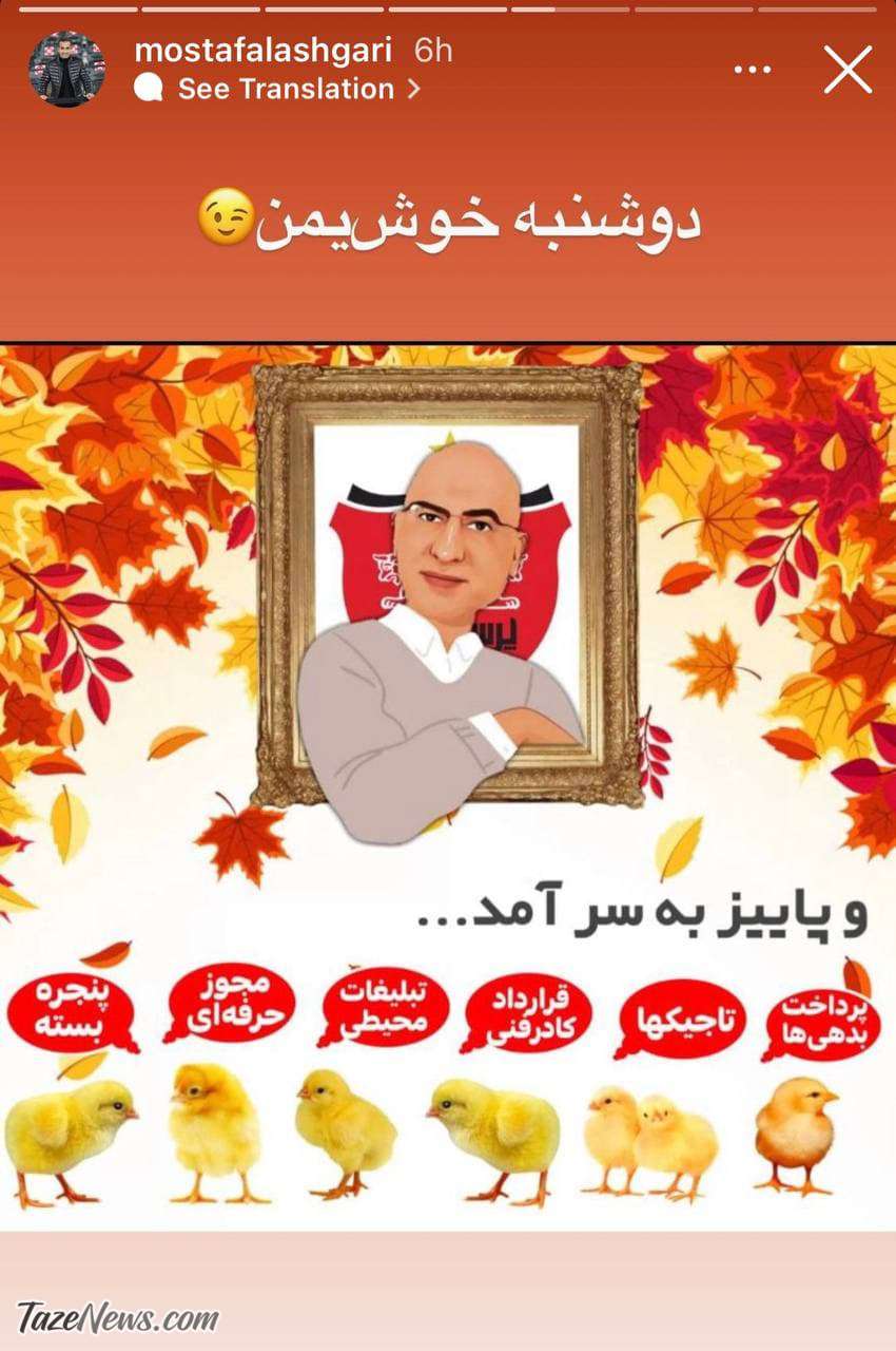 سرپرست پرسپولیس همراه با جوجه‌ها از پنجره بیرون آمدند؛ استوری عجیب در آخر پاییز! +عکس
