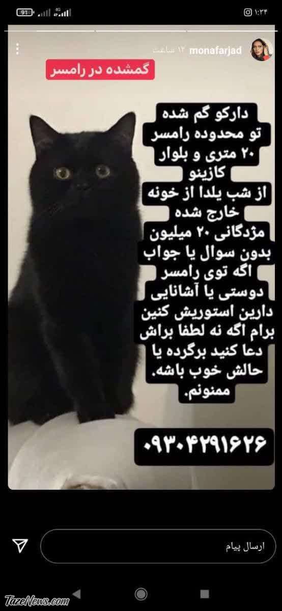 مژدگانی ۲۰میلیونی بازیگر مشهور برای گربه گمشده! مژدگانی ۲۰میلیونی بازیگر مشهور برای گربه گمشده!