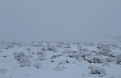 ویدئو| بارش عجیب برف در بیابان‌های عربستان