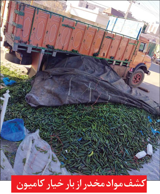 کشف تریاک از درون خیار! +عکس