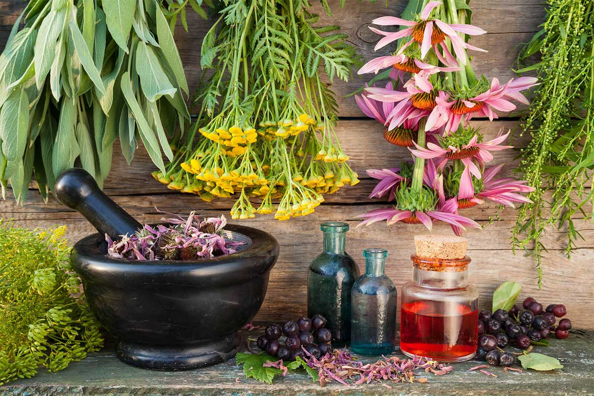 چه‌طور از انسداد عروق پیش‌گیری کنیم؟ روغن زیتون، انار یا کلم بروکلی!