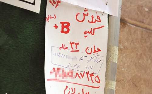 فروش کلیه اتباع ایرانی به خارجی‌ها ممنوع شد!