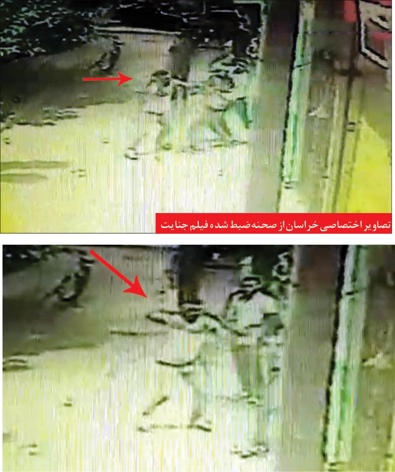نزاع چند ساله بالاخره به قتل انجامید +تصاویر
