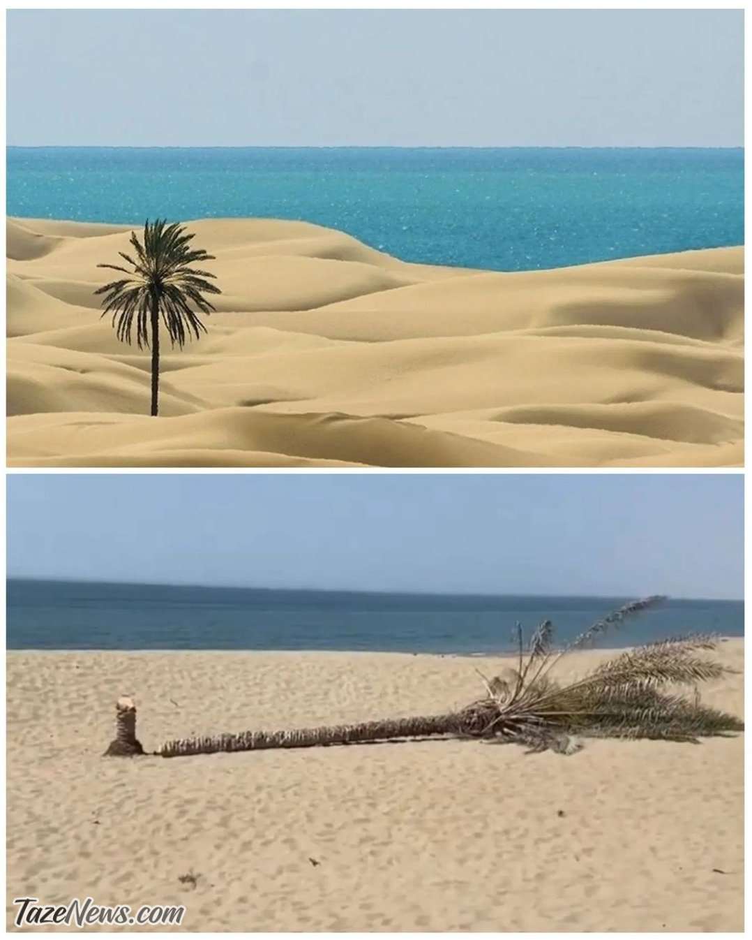 تصویر تلخ و تکان‌دهنده از قتل یک نفر در سیستان!