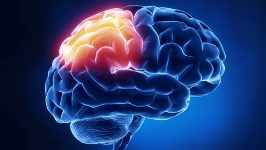 این عادات به مغز آسیب میرسانند این عادات به مغز آسیب میرسانند