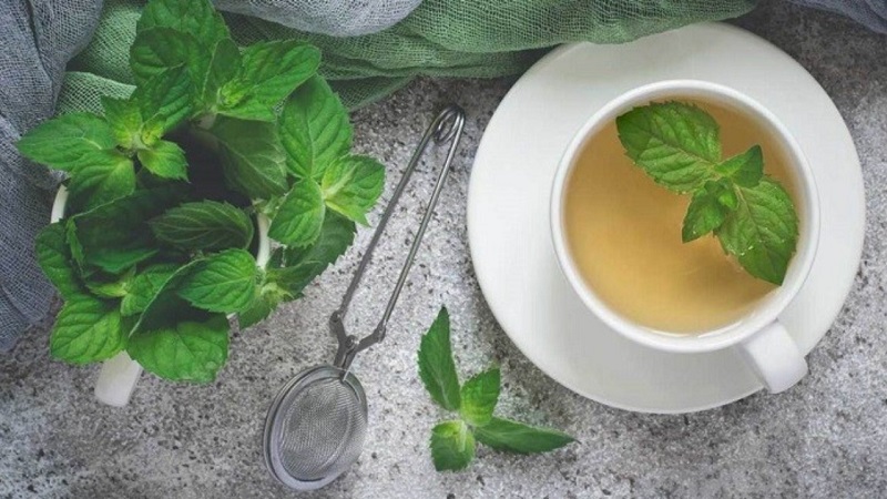 دمنوشهایی برای رفع سردرد دمنوشهایی برای رفع سردرد