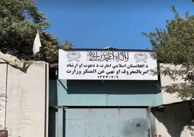 ممنوعیت جدید طالبان: ادارات، مراجعین زن بدون محرم را نپذیرند! ممنوعیت جدید طالبان: ادارات، مراجعین زن بدون محرم را نپذیرند!