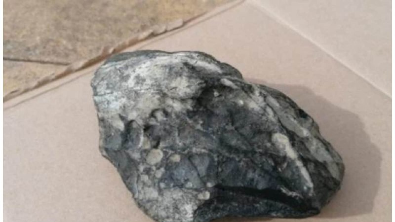 یک سال جست‌وجو برای پیدا کردن شهاب‌سنگ آسمانی +عکس