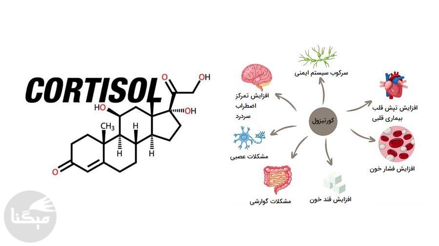 عامل استرس یک هورمون است؟ عامل استرس یک هورمون است؟