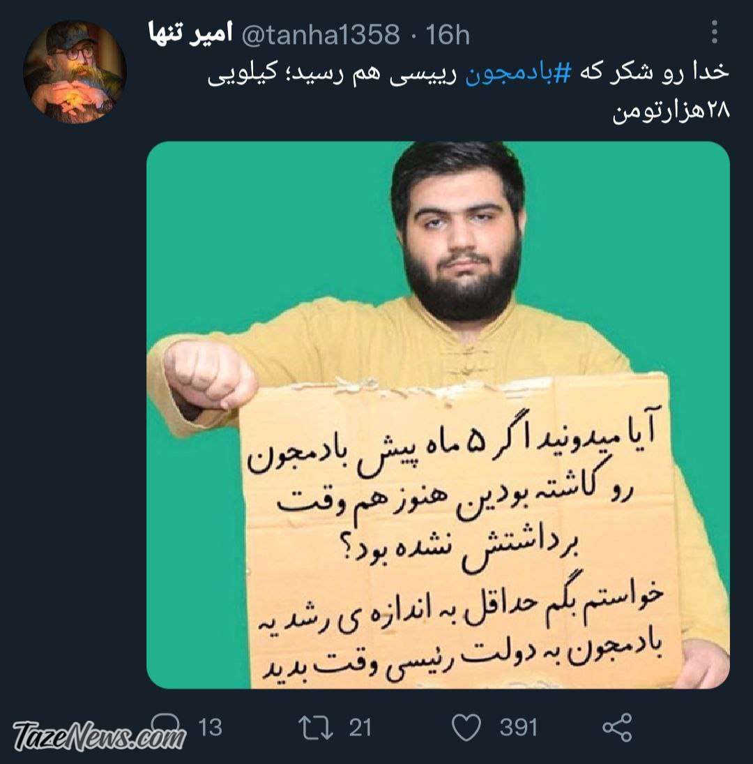 بادمجون دولت سیزدهم هم رسید! +عکس