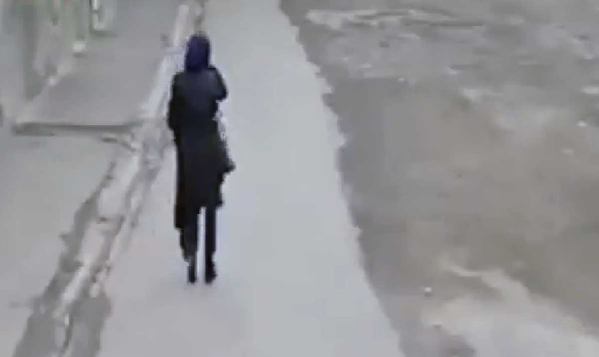 لحظه ترسناک حمله گرگ گرسنه به خانم معلم جوان در اردبیل +ویدئو لحظه ترسناک حمله گرگ گرسنه به خانم معلم جوان در اردبیل +ویدئو