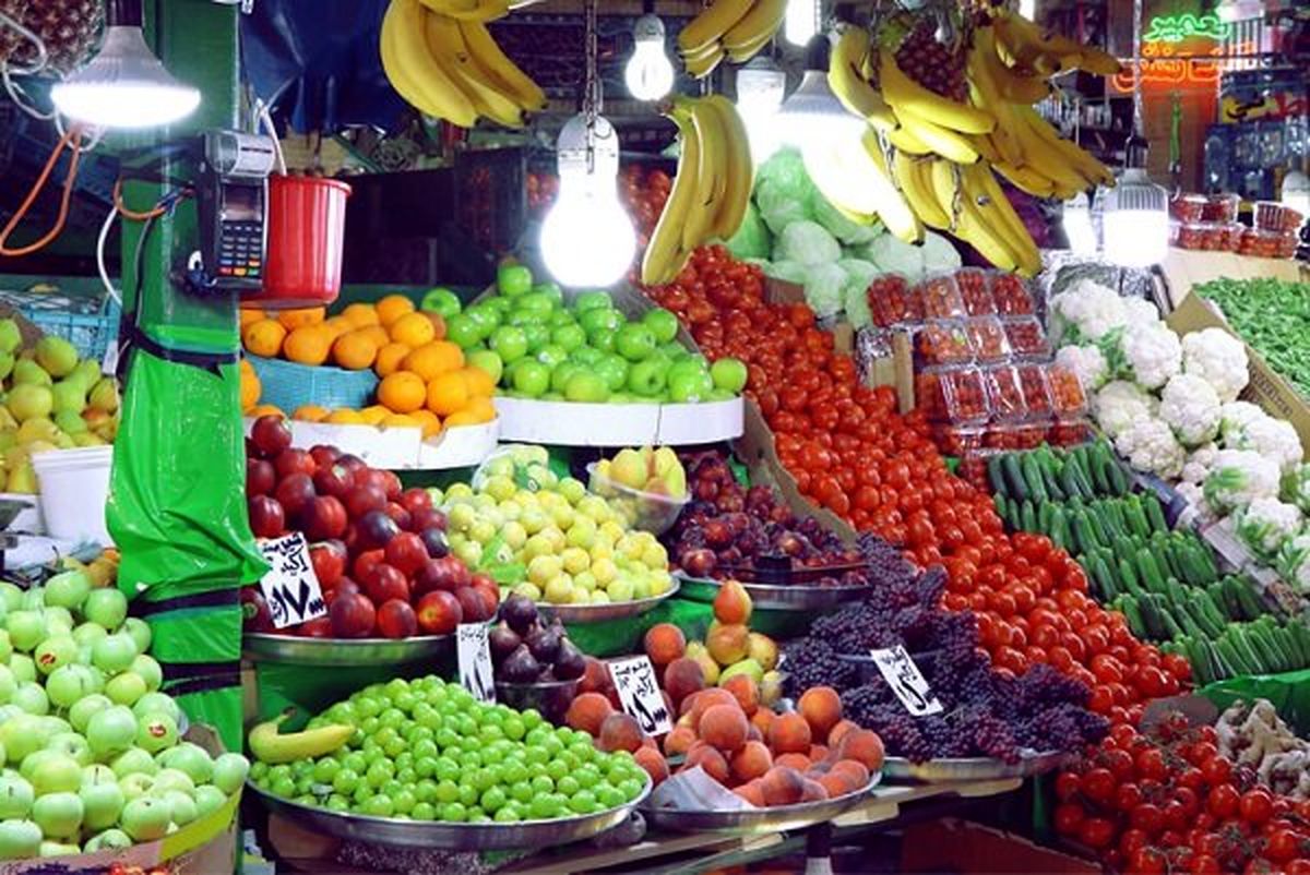 خبر تلخ: مردم دنبال میوههای دورریز هستند! خبر تلخ: مردم دنبال میوههای دورریز هستند!