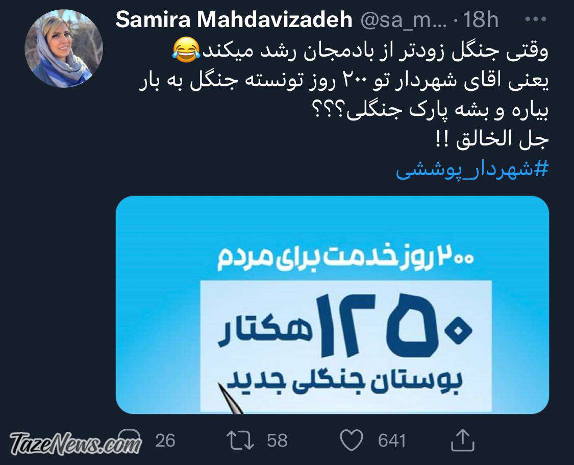 از نظر زاکانی جنگل زودتر از بادمجان رشد می‌کند!