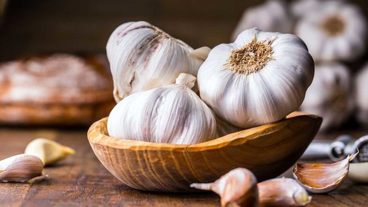 خواص جالب سیر که نمیدانیم! خواص جالب سیر که نمیدانیم!