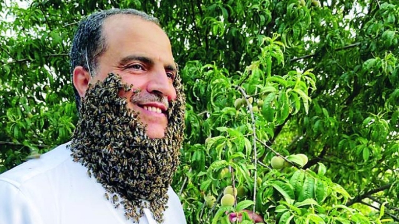 یک مرد با نگهداری ۲۴۰ زنبور روی صورتش رکورد زد!