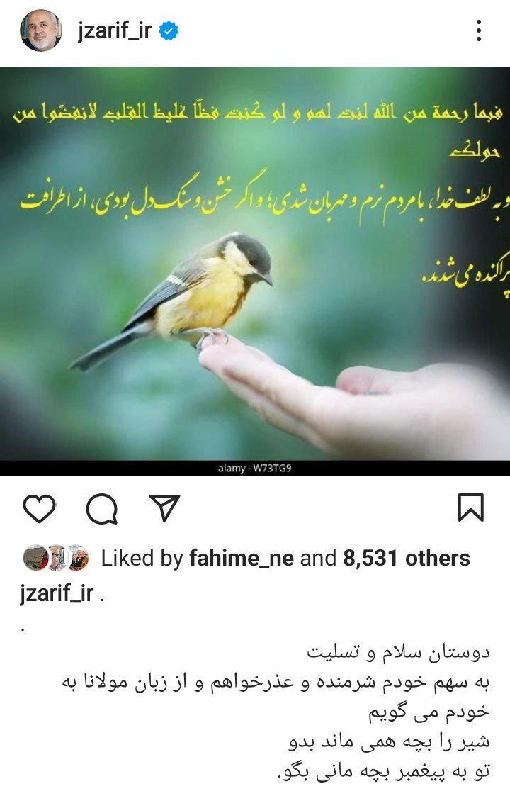 عذرخواهی ظریف در واکنش به فوت مهسا امینی عذرخواهی ظریف در واکنش به فوت مهسا امینی