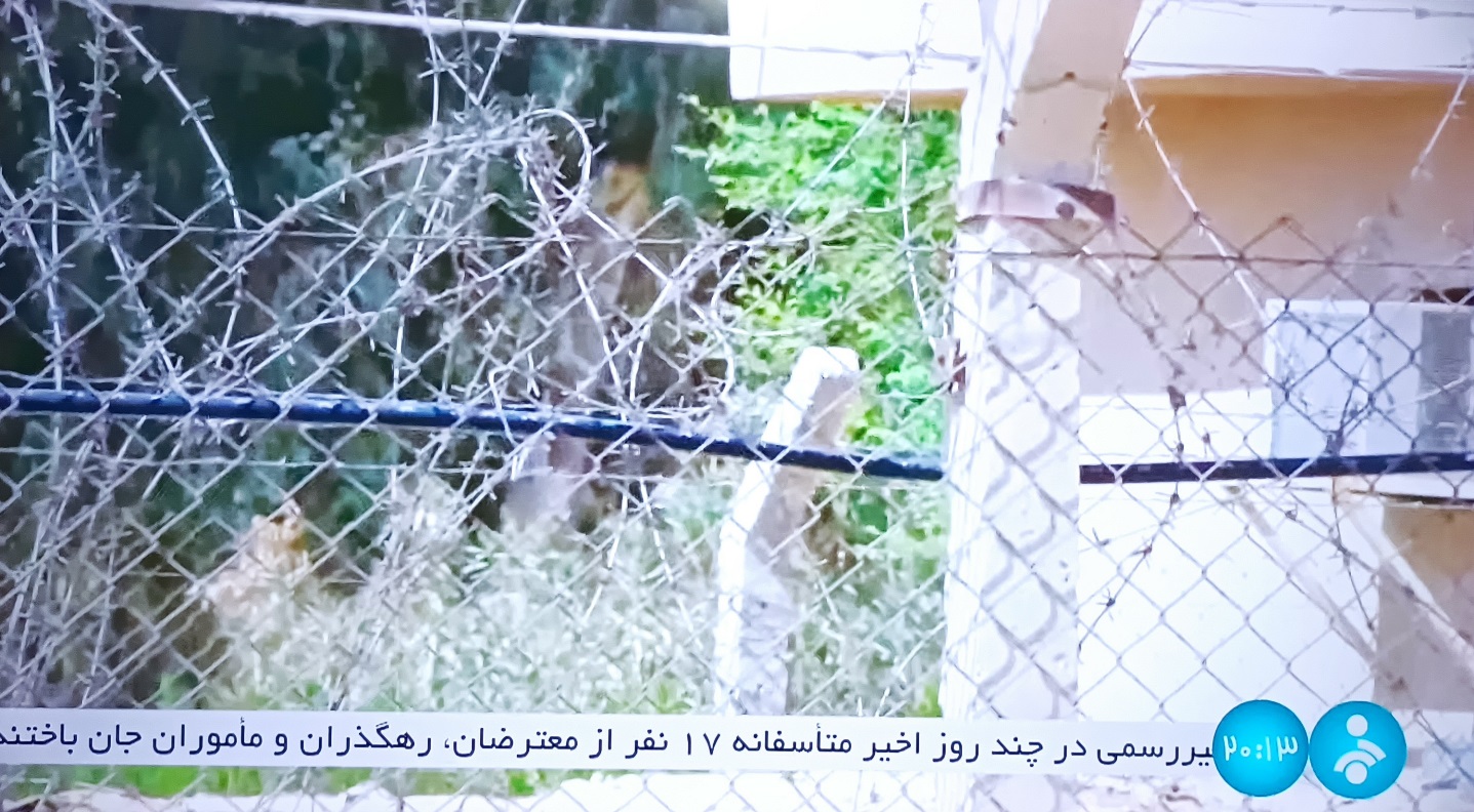 گزارش صداوسیما از آمار جان‌باختگان اعتراض‌ها به مرگ مهسا امینی در کشور
