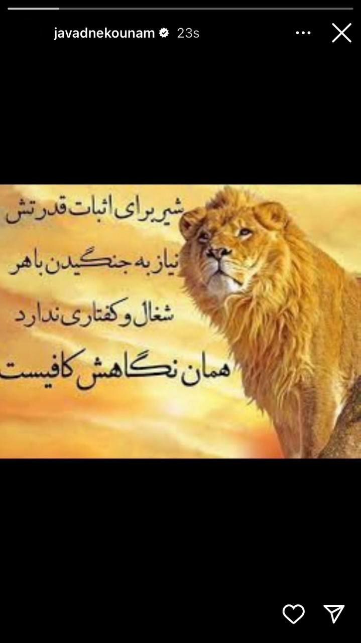 نکونام جواب یحیی را داد: شیر برای اثبات قدرتش نیاز به جنگیدن با شغال ندارد! +عکس
