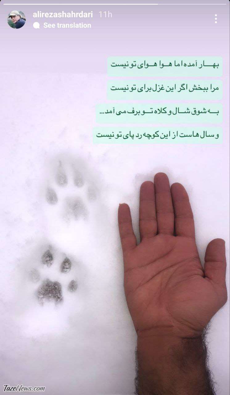 استوری تلخ علیرضا شهرداری برای «پیروز»: بهار آمده اما هوا هوای تو نیست! +عکس