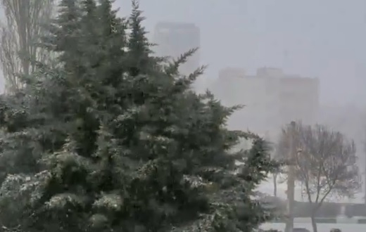 ویدئو| تصاویر چشم‌نواز از بارش برف در اردبیل