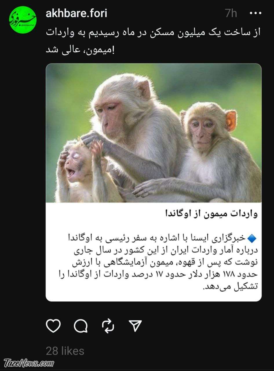 از ساخت یک میلیون مسکن رسیدیم به واردات میمون! +عکس