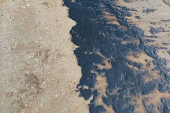 آلودگی گسترده نفتی در ساحل گناوه؛ علت در حال بررسی است