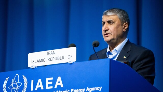 رئیس سازمان انرژی اتمی: ایران ۱۰ برابر دیگر کشورها مورد بازرسی آژانس قرار میگیرد رئیس سازمان انرژی اتمی: ایران ۱۰ برابر دیگر کشورها مورد بازرسی آژانس قرار میگیرد