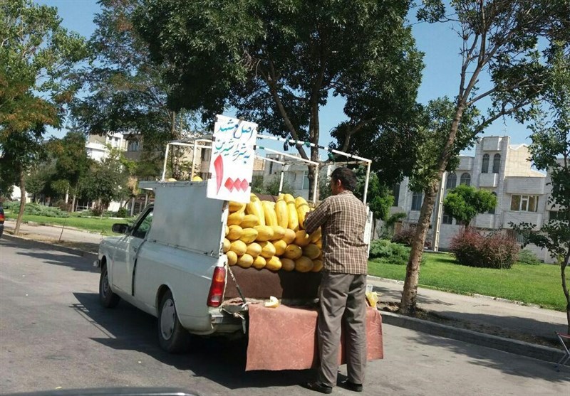 وانتیهایی که میوه میفروشند مافیا دارند/ وقتی شهرداری با یک وانتی برخورد میکنند عدهای از همکارانشان با قمه به ماموران حمله میکنند! وانتیهایی که میوه میفروشند مافیا دارند/ وقتی شهرداری با یک وانتی برخورد میکنند عدهای از همکارانشان با قمه به ماموران حمله میکنند!