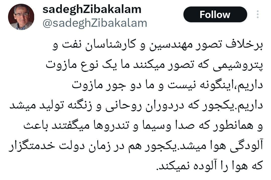 زیبا کلام: مازوت دولت روحانی و مازوت دولت خدمتگزار متفاوت است!