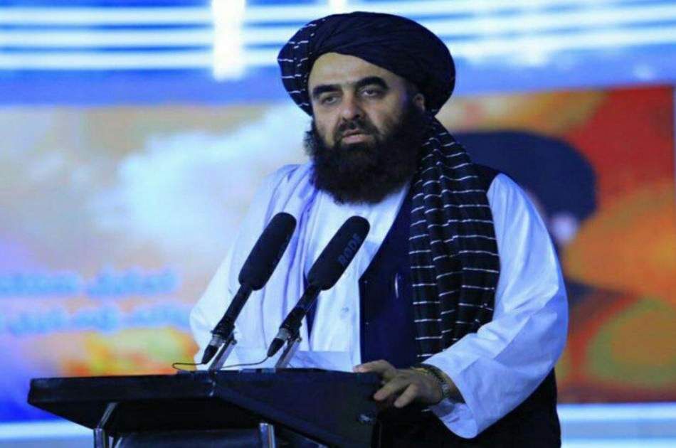 وزیر خارجه طالبان دشمنان زبان فارسی را معرفی کرد! وزیر خارجه طالبان دشمنان زبان فارسی را معرفی کرد!