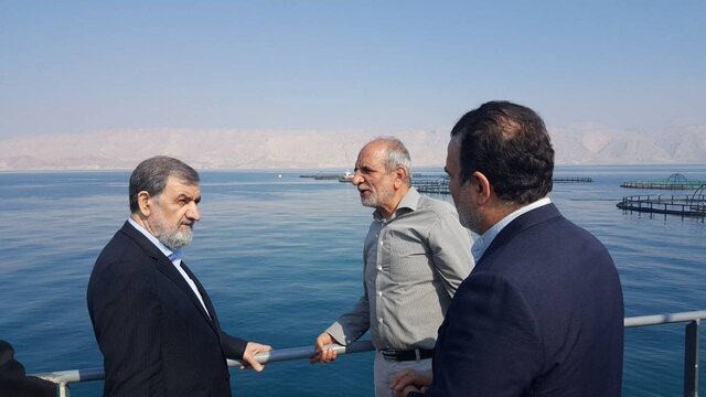 محسن رضایی: اضافهشدن گوشت ماهی به سفرهها، قیمت گوشت قرمز را کنترل میکند محسن رضایی: اضافهشدن گوشت ماهی به سفرهها، قیمت گوشت قرمز را کنترل میکند