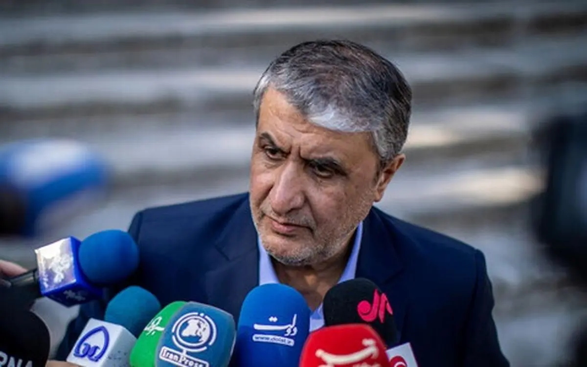 رئیس سازمان انرژی اتمی: گروسی تمایل دارد به ایران بیاید؛ ما هم برای آمدنش برنامه داریم