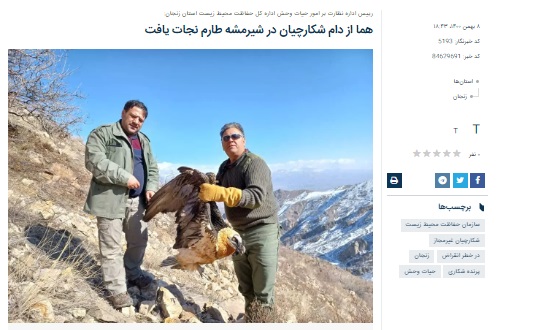 ماجرای شکار «همای سعادت» واقعیت ندارد +عکس ماجرای شکار «همای سعادت» واقعیت ندارد +عکس
