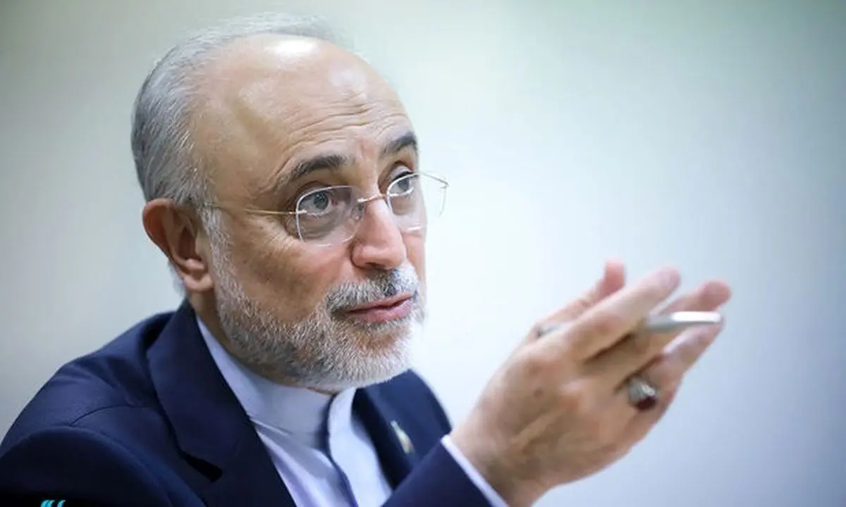 صالحی: هراس امنیتی در مراکز علمی است؛ چیزی که خیلی آسیب رسانده ترویج گفتمان «هرکی می‌خواهد برود» است