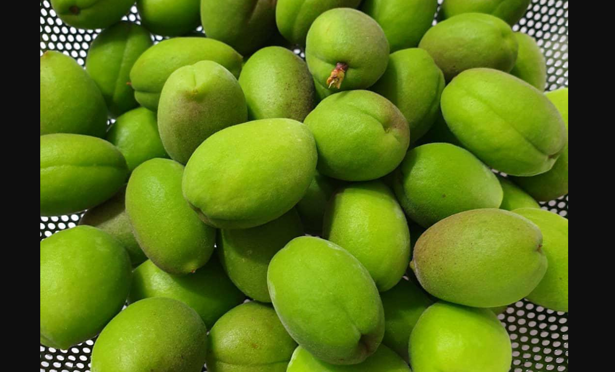 آشفته‌بازار قیمت‌ها در شب عید؛ میوه نوبرانه کیلویی ۲ میلیون!