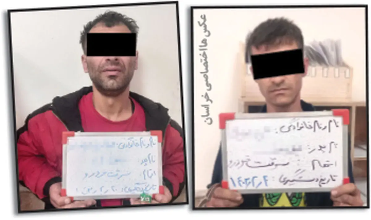 ۳۴ سرقت خودرو به پرونده محکوم مالی اضافه شد ۳۴ سرقت خودرو به پرونده محکوم مالی اضافه شد