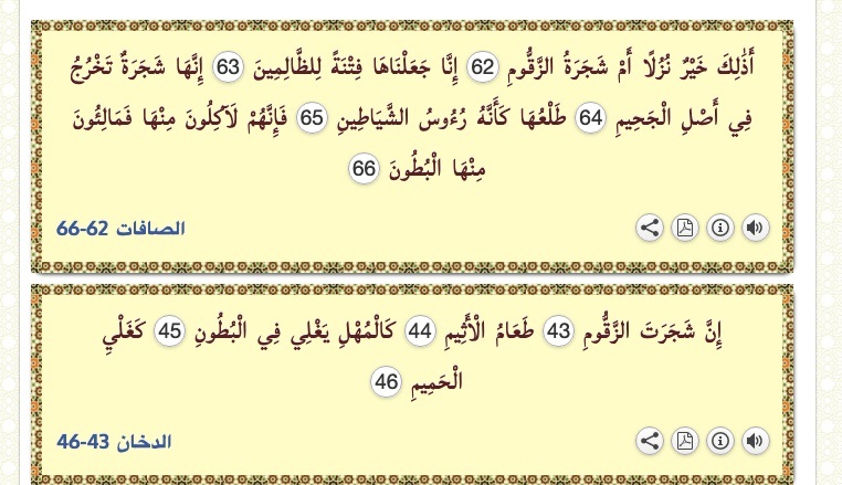 آقای قاضی زاده! دروغگو را به جهنم می برند و "زَقّوم" به خوردش می دهند