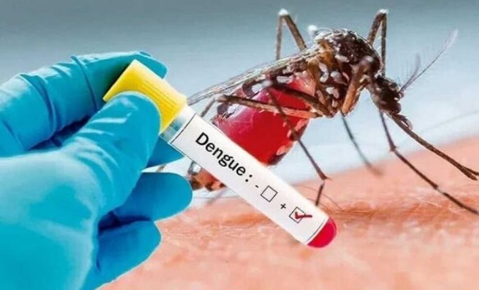 وضعیت نگران‌کننده یک بیماری مرگبار در این استان +جزئیات