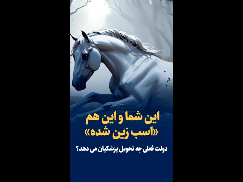 اسب زینشده مدنظر کیهان را کامل بشناسید! +ویدئو اسب زینشده مدنظر کیهان را کامل بشناسید! +ویدئو