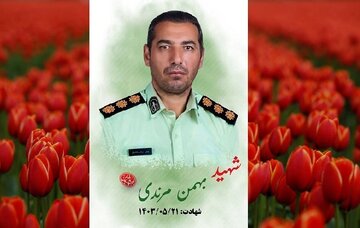 مامور نیروی انتظامی در ملکان به شهادت رسید +عکس مامور نیروی انتظامی در ملکان به شهادت رسید +عکس